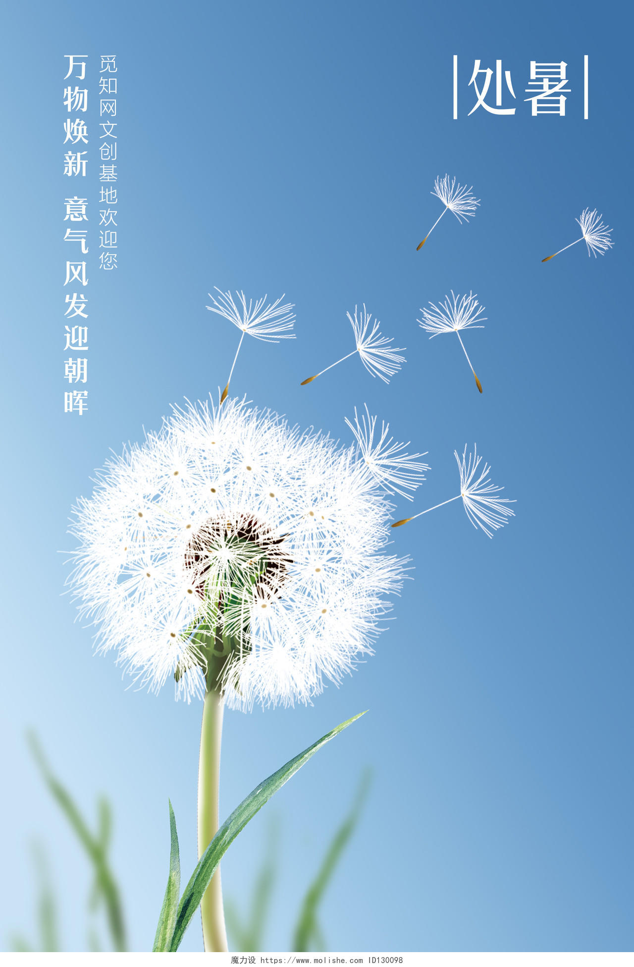 天蓝色梦幻蒲公英飞舞传统节气处暑宣传海报